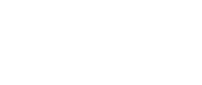 PRIMMO